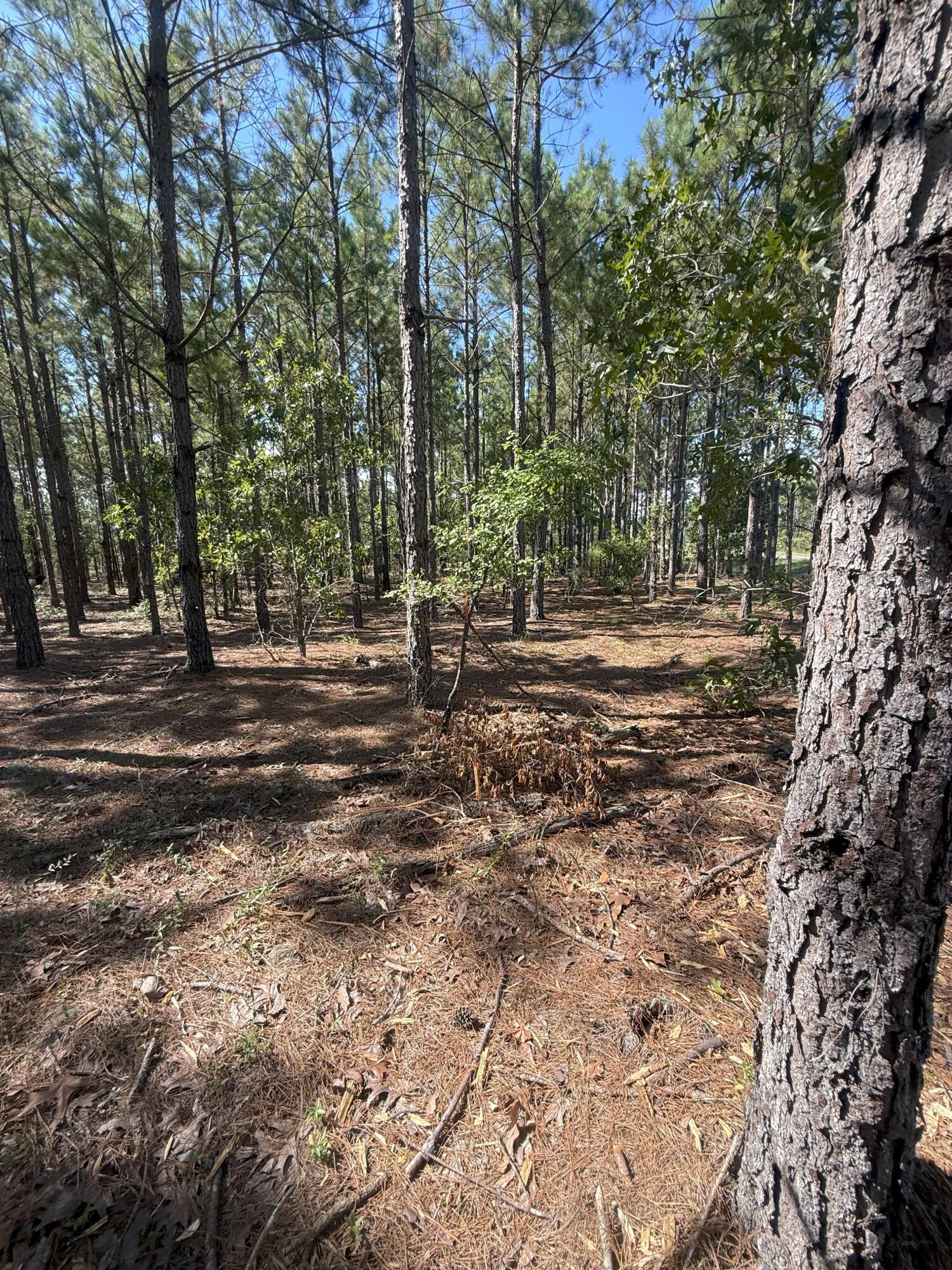8 Providence Road, Unit KF 8 Kershaw, SC 29067 - Photo 5 of 15 IMG_2783