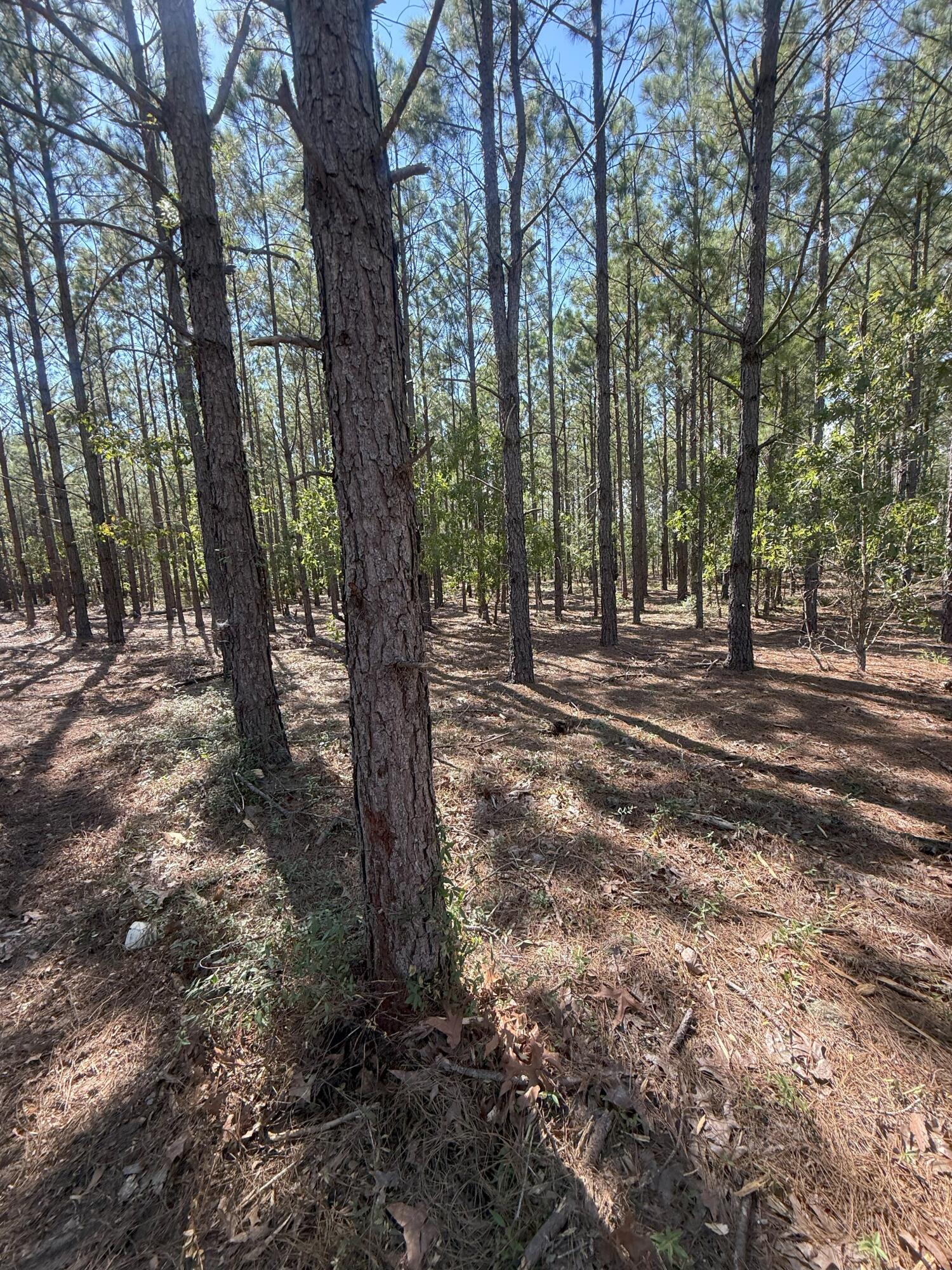 8 Providence Road, Unit KF 8 Kershaw, SC 29067 - Photo 6 of 15 IMG_2784