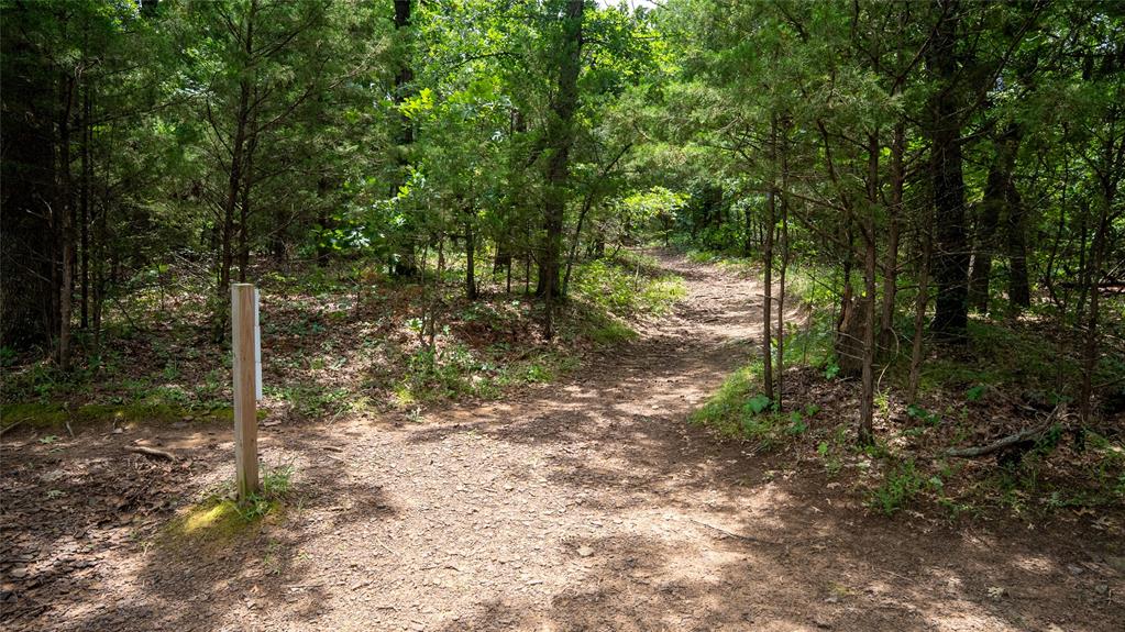 0 Bluebonnet Avenue Denison, TX 75020 - Photo 9 of 34 The Main Trail on the Property Leads to the Lake.