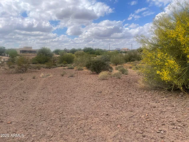 a view of a dry yard with wooden fence