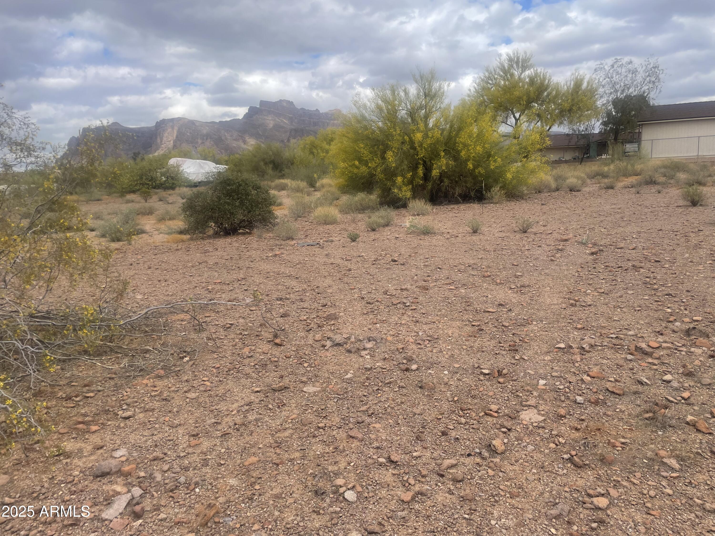 0 South Roadrunner Road Apache Junction, AZ 85119 - Photo 7 of 7 a view of a yard with a house