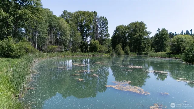 a view of a lake view with a large trees