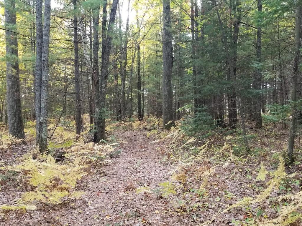 2089 Sigma Road Southeast Kalkaska, MI 49646 - Photo 34 of 57 1905734-33.JPG