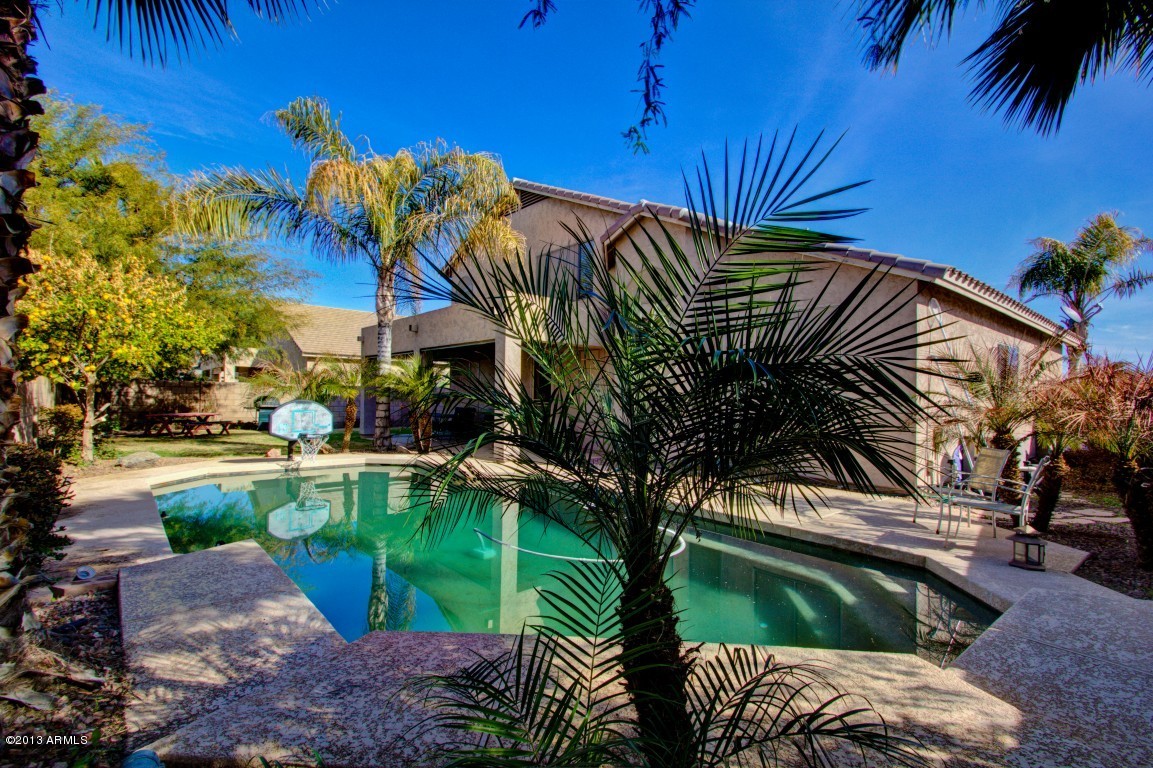 1440 Poinciana Road Gilbert, AZ 85234 - Photo 43 of 51 Beautiful Pool!