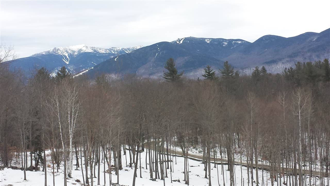 0 Toad Hill Road Sugar Hill, NH 03586 - Photo 7 of 14