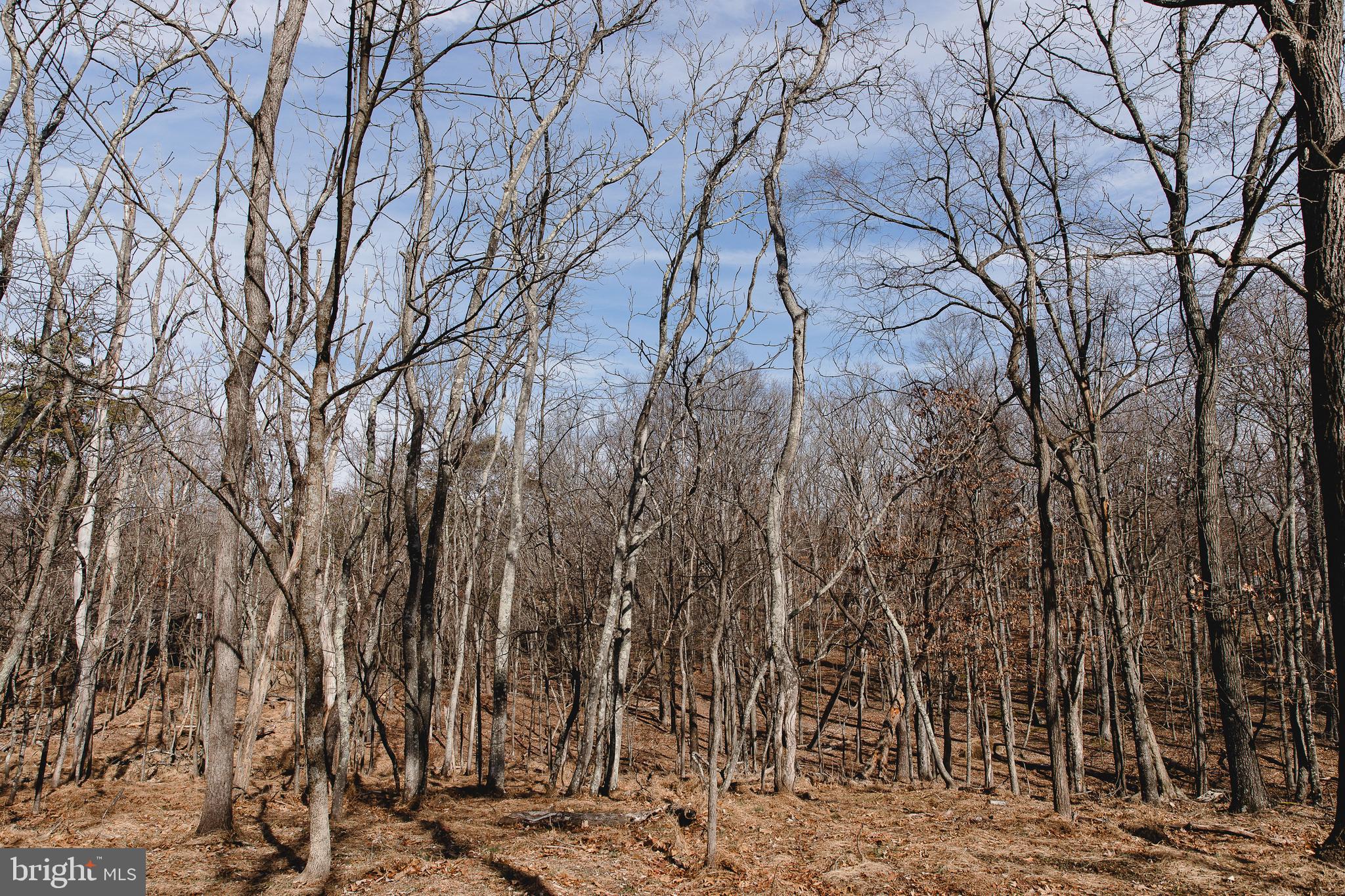 331 Walden Road Hedgesville, WV 25427 - Photo 27 of 30 a view of a yard