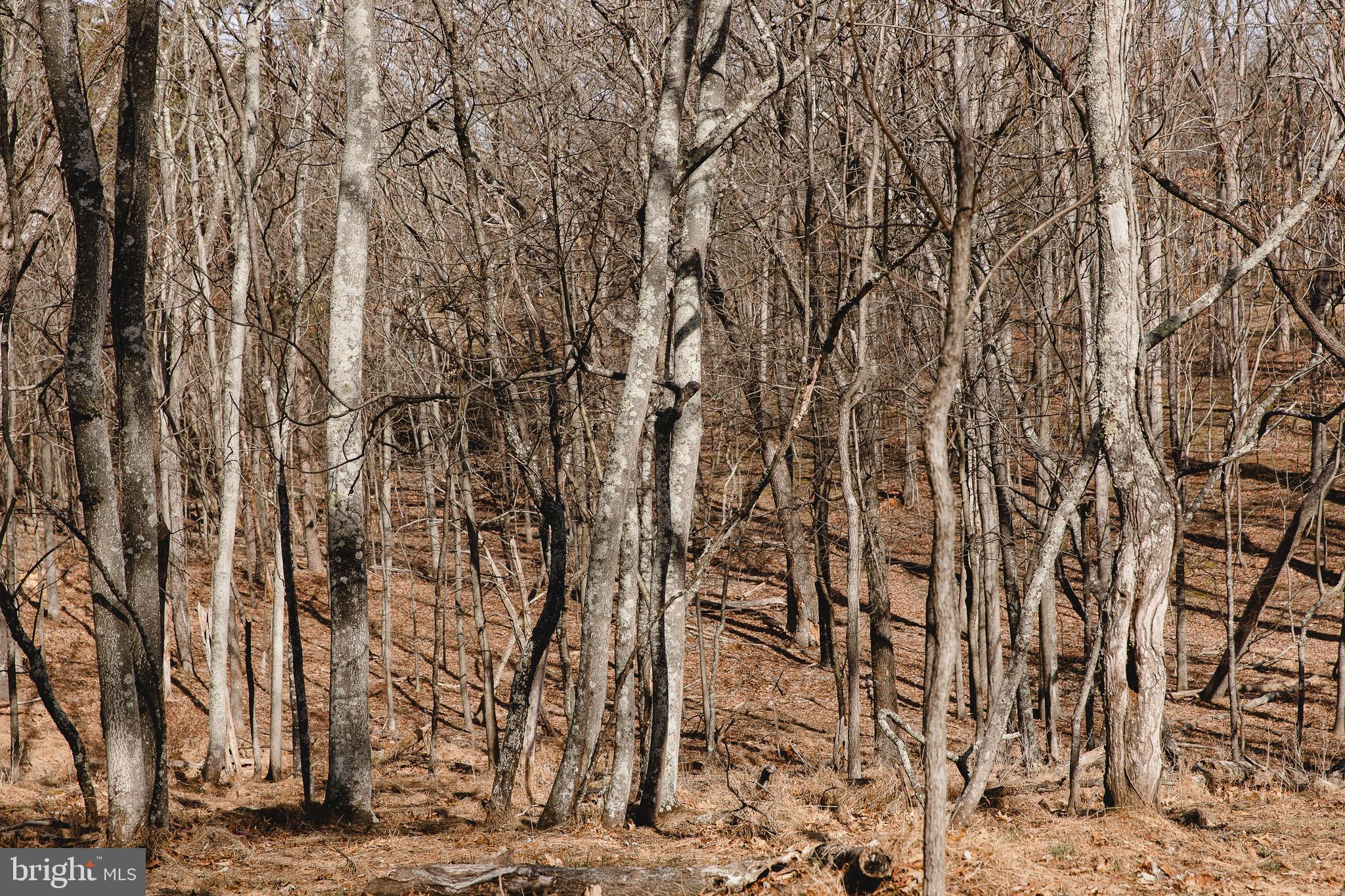 331 Walden Road Hedgesville, WV 25427 - Photo 28 of 30 a view of city view