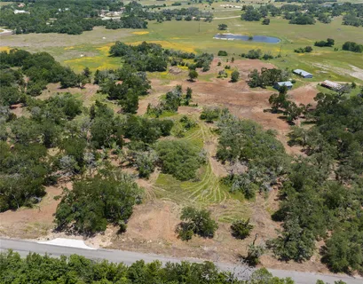 a view of a tree with a yard