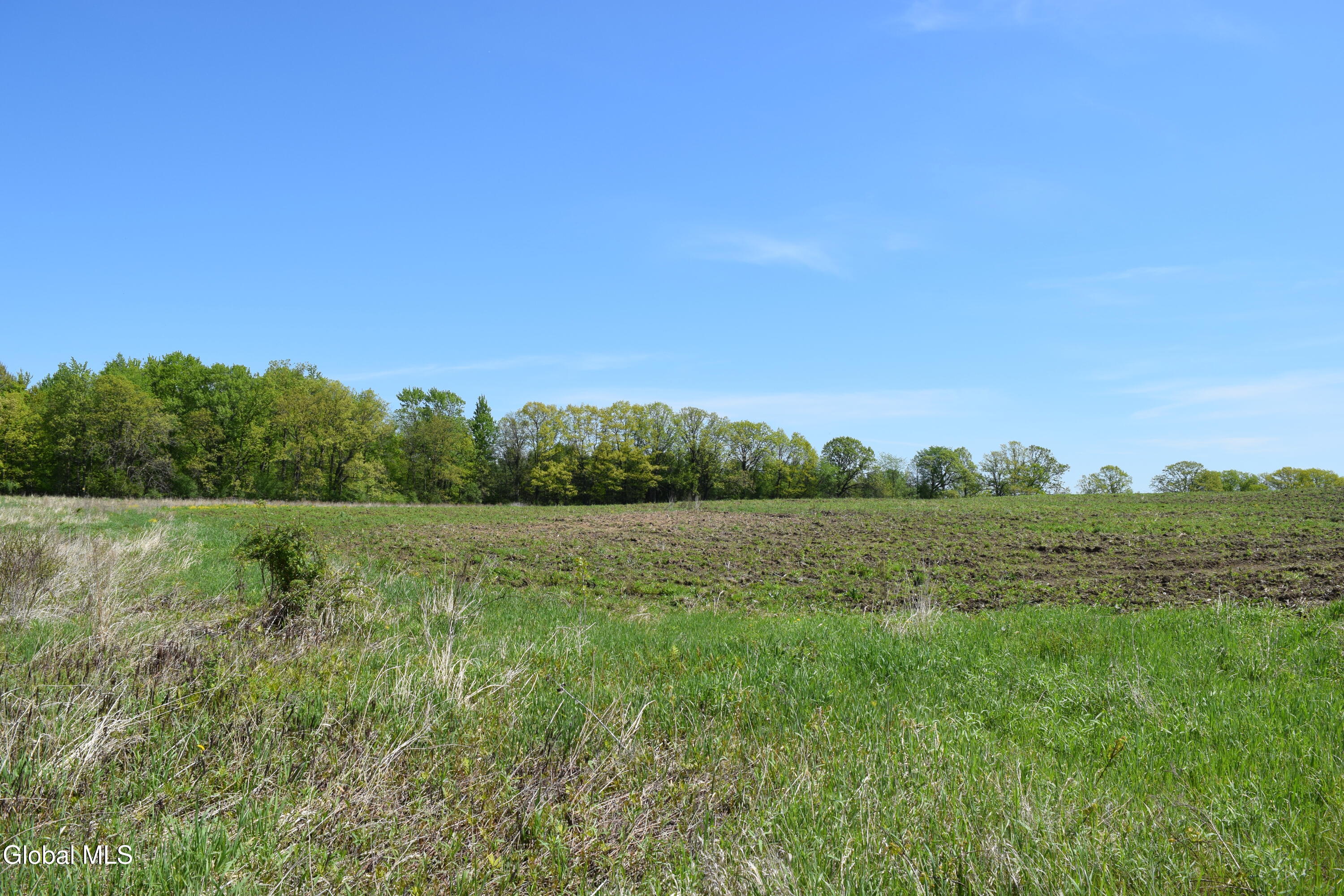 115 Farm To Market Road Halfmoon, NY 12118 - Photo 12 of 22 12