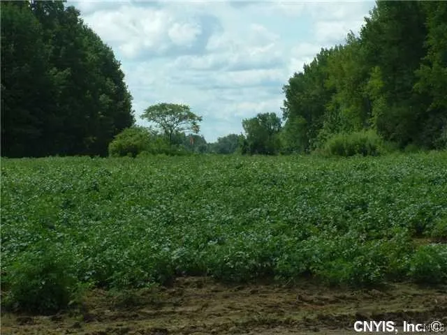 $7,000,000 | 8575 Henry Clay Boulevard, Clay, NY 13041