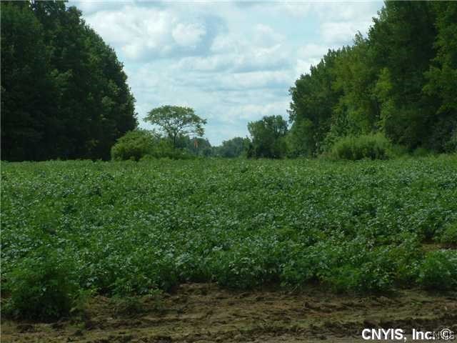 8575 Henry Clay Boulevard Clay, NY 13041 - Photo 11 of 19