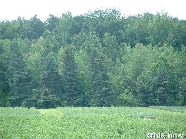 8575 Henry Clay Boulevard Clay, NY 13041 - Photo 8 of 19