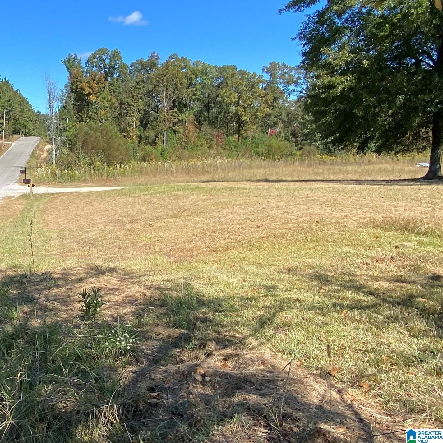 1170 Thompson Road Ohatchee, AL 36271 - Photo 23 of 25