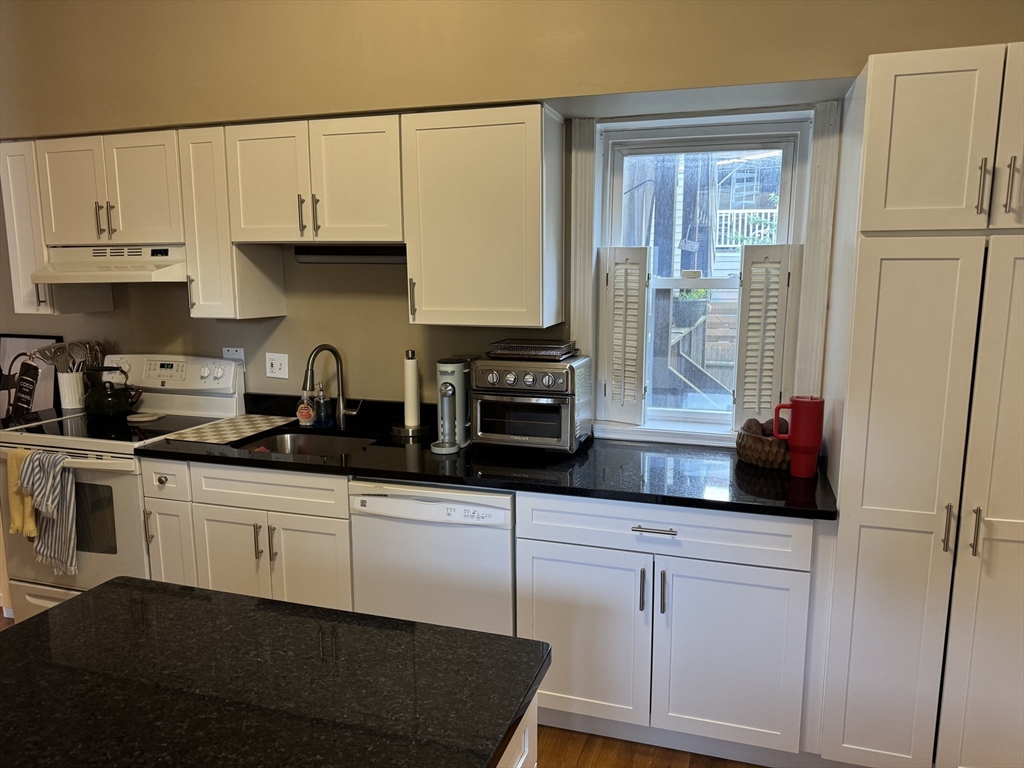 48 Mercer Street, Unit 1 Boston, MA 02127 - Photo 2 of 11