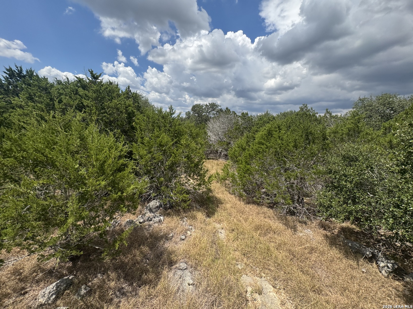 168 Brushy Road Spring Branch, TX 78070 - Photo 8 of 13 Gallery Image 8