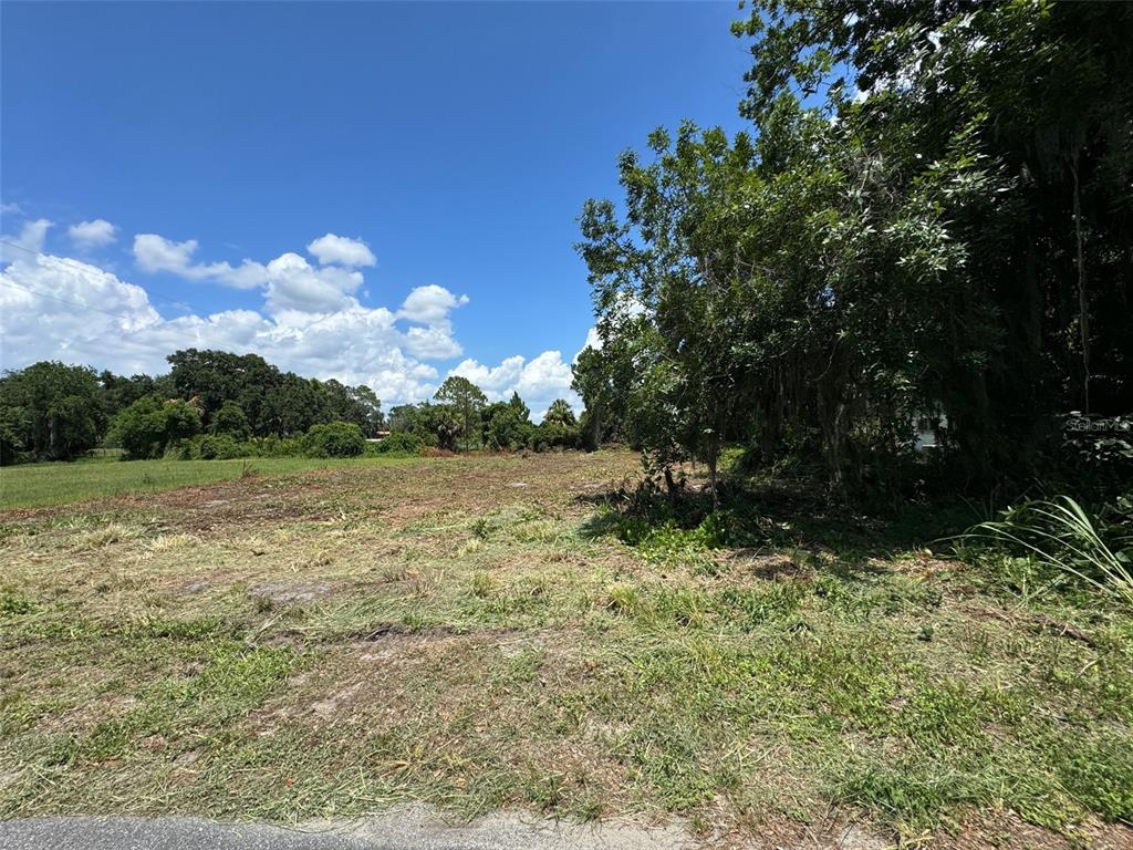 Cove Road Tavares, FL 32778 - Photo 5 of 16 a view of lake with green space