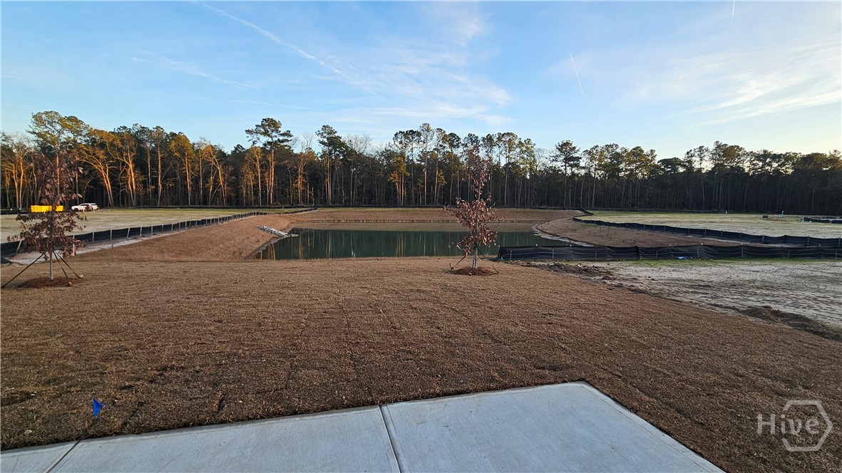 109 Classic Drive Pooler, GA 31322 - Photo 21 of 28 Back Yard with Lagoon View