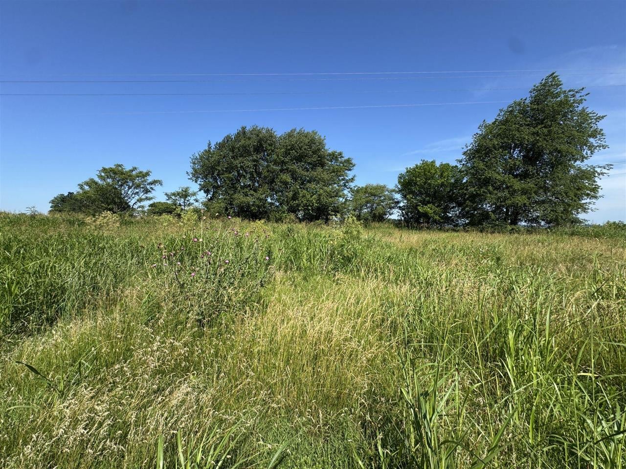 2804 Old Lexington Road Cave City, KY 42127 - Photo 6 of 12 Gallery Image 6