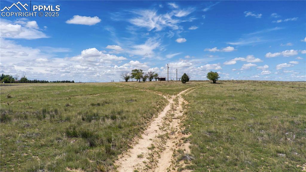 39320 Truckton Road Rush, CO 80833 - Photo 13 of 27 a view of a big yard with lots of green space