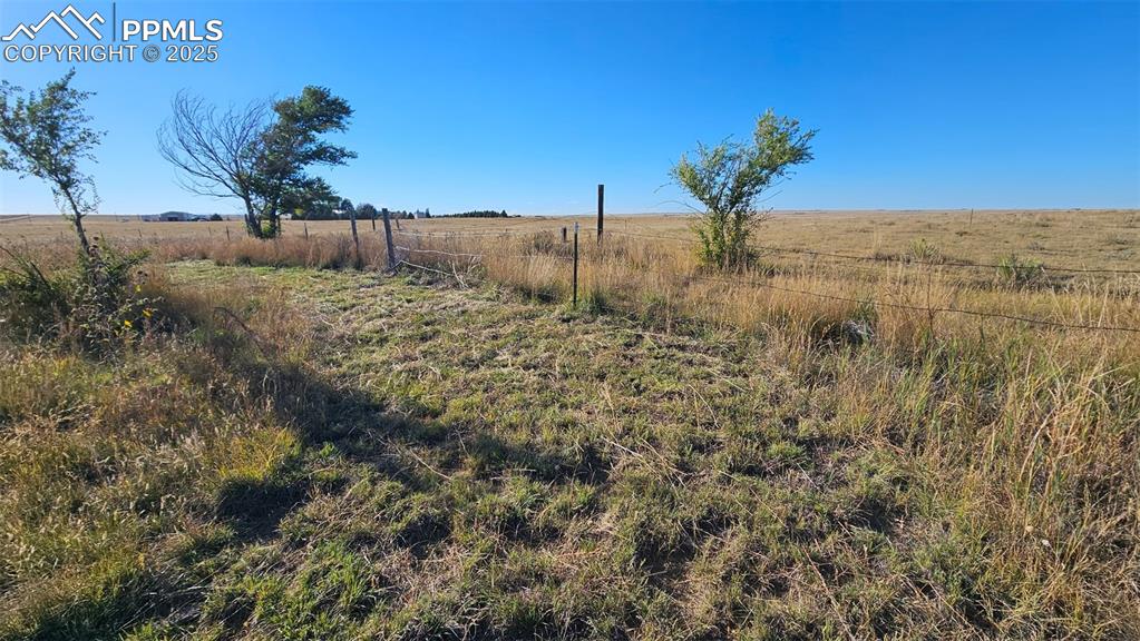 39320 Truckton Road Rush, CO 80833 - Photo 26 of 27 a view of a yard