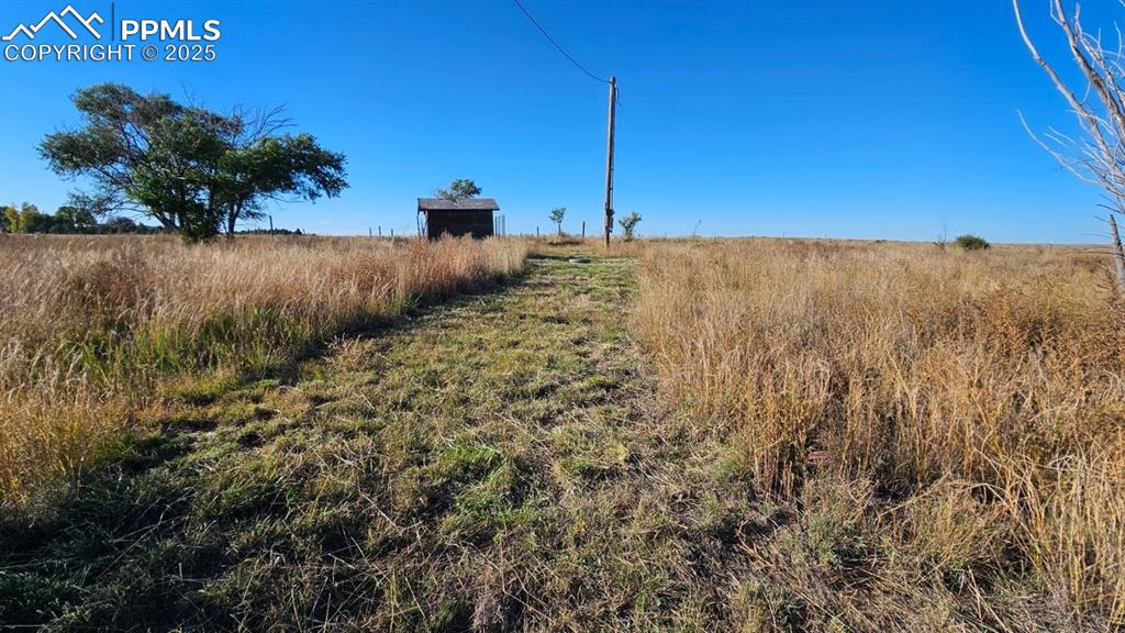 39320 Truckton Road Rush, CO 80833 - Photo 5 of 27 a view of a field