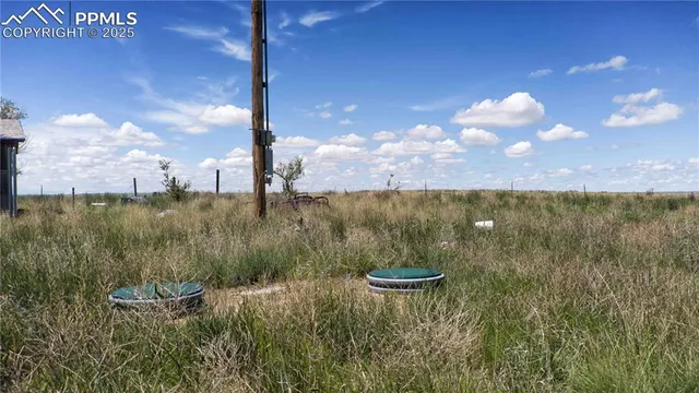 a view of a lake from a yard