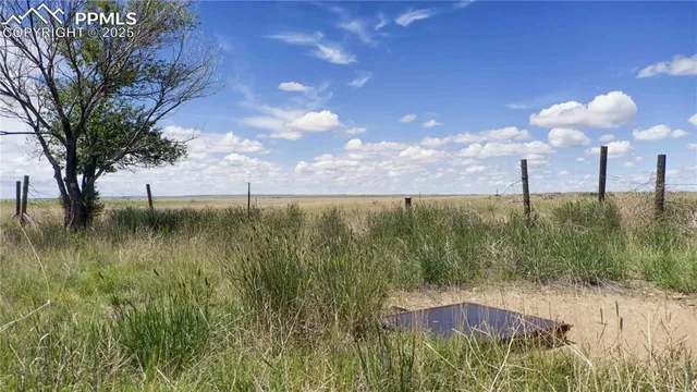 a view of a lake from a yard