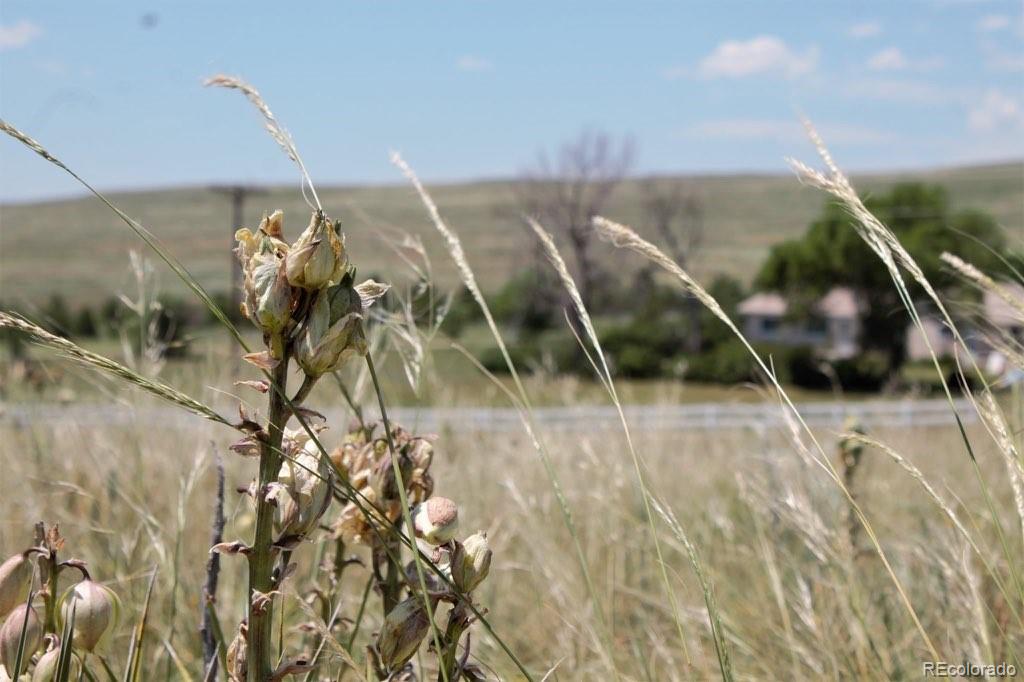 5 McClelland Road Calhan, CO 80808 - Photo 6 of 14