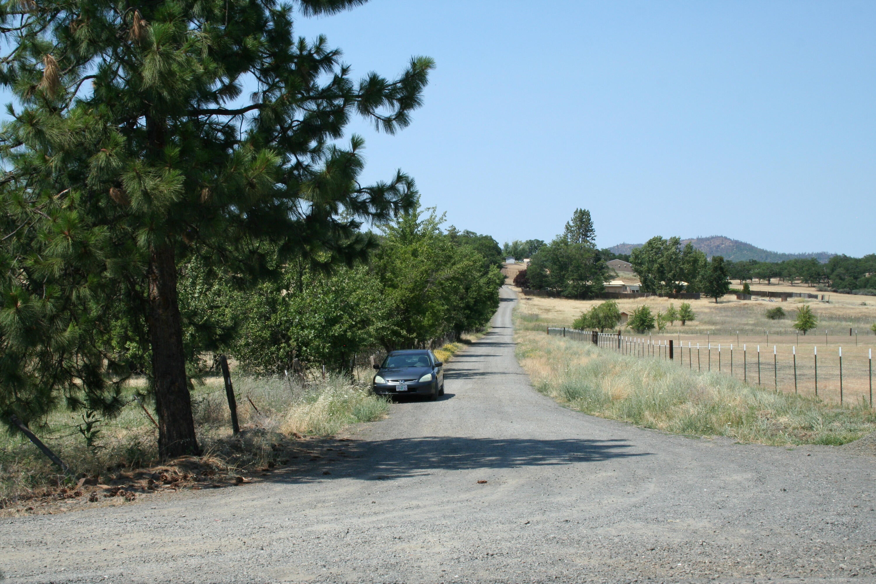 1213 Stevens Road Eagle Point, OR 97524 - Photo 12 of 15 End of property line at Eagle Heights Road- property is on the left