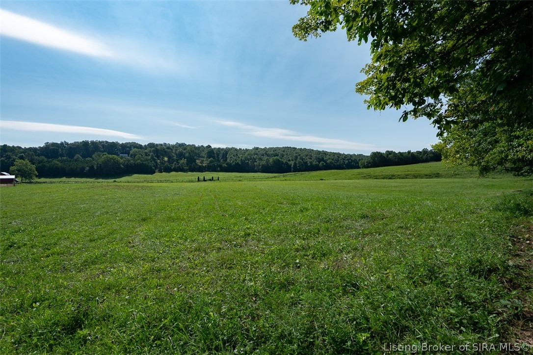 Tract 2-6.71 Acres East Speed Road Milltown, IN 47145 - Photo 9 of 14 Gallery Image 9
