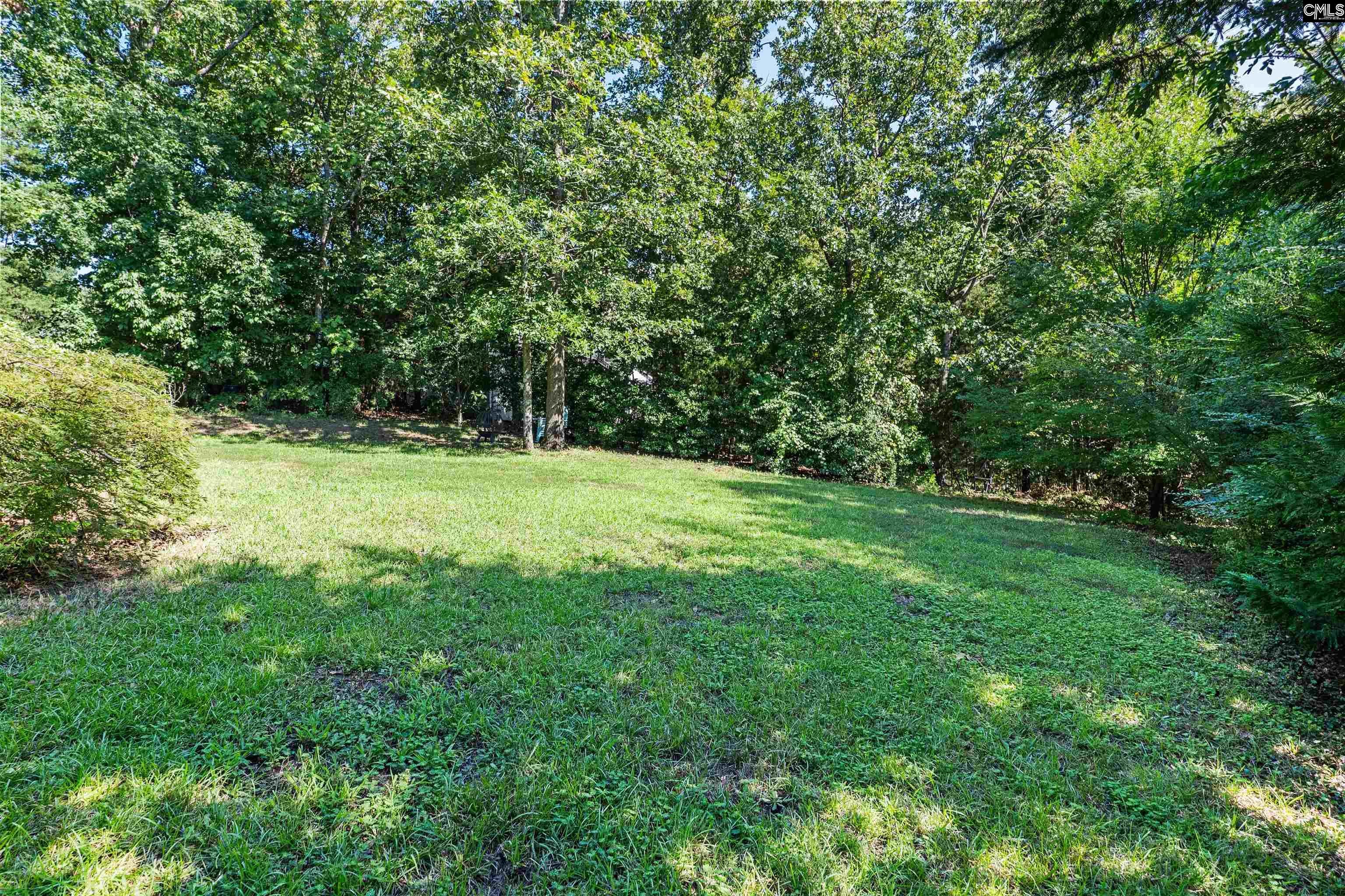 313 Belfair Road Irmo, SC 29063 - Photo 41 of 45 Gallery Image 41
