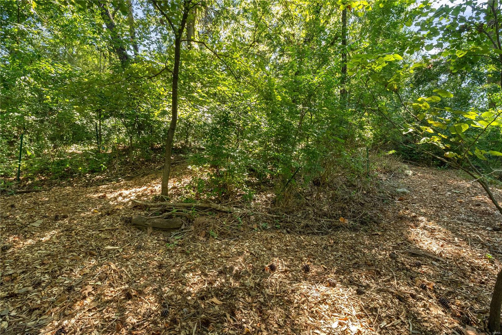 10212 Clayton Road Ladue, MO 63124 - Photo 44 of 58 Gallery Image 44