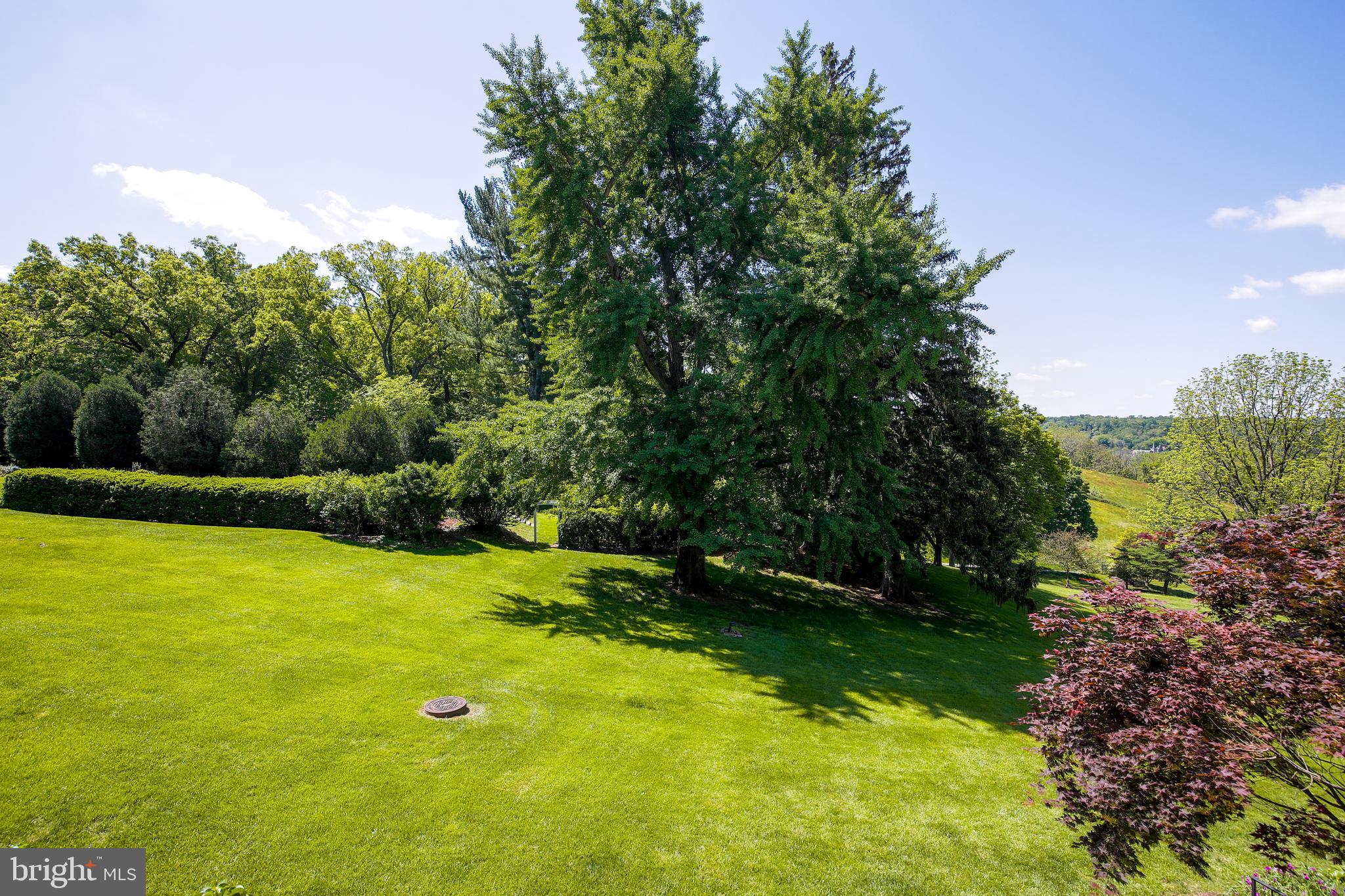 9 Devon Hill Road, Unit B3 Baltimore, MD 21210 - Photo 15 of 44 View from your balcony