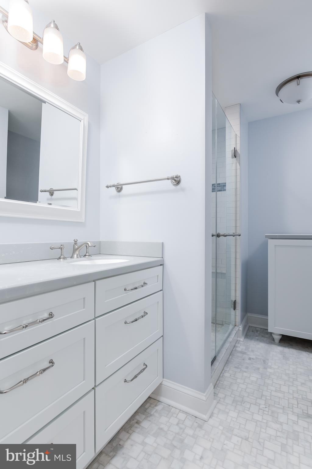 9 Devon Hill Road, Unit B3 Baltimore, MD 21210 - Photo 23 of 44 Primary bath has marble floors