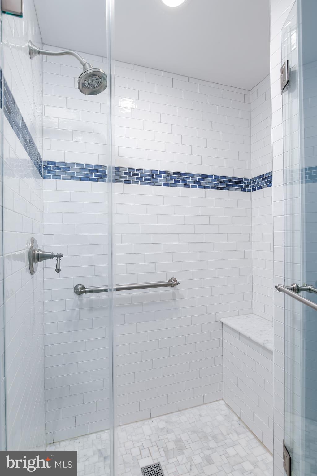 9 Devon Hill Road, Unit B3 Baltimore, MD 21210 - Photo 24 of 44 Primary bath shower