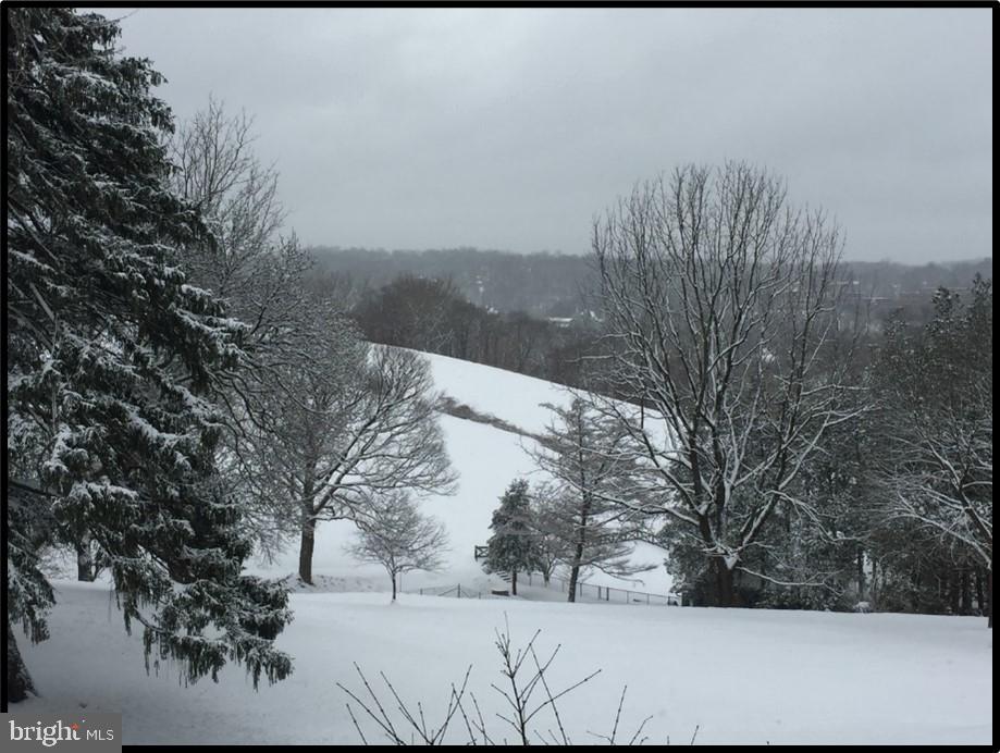 9 Devon Hill Road, Unit B3 Baltimore, MD 21210 - Photo 38 of 44 View from balcony in the winter