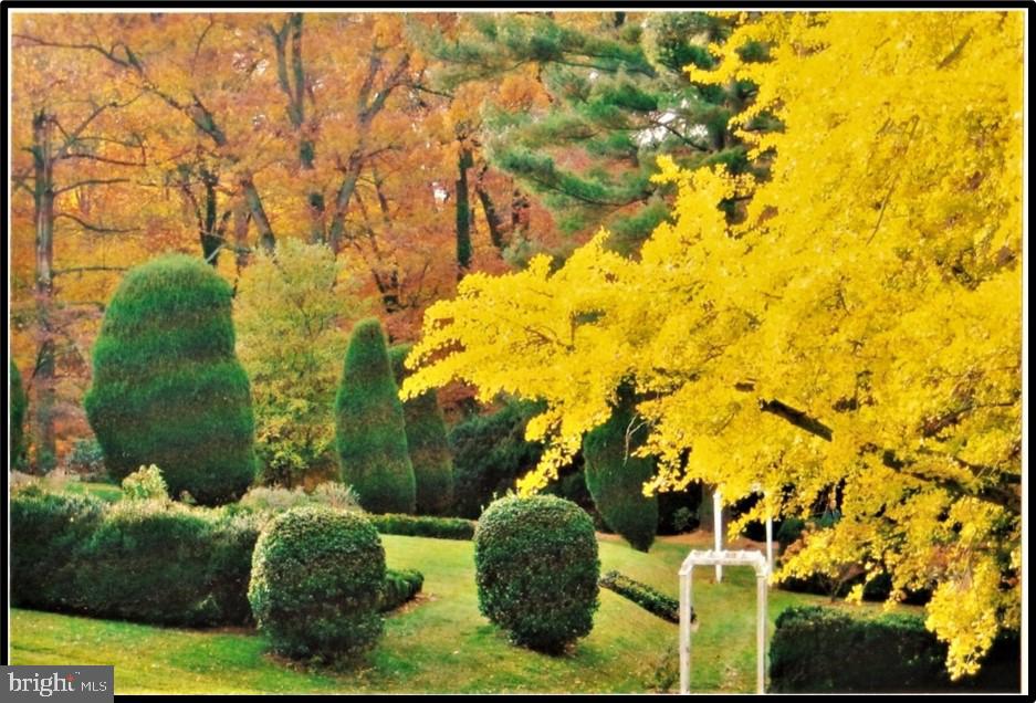 9 Devon Hill Road, Unit B3 Baltimore, MD 21210 - Photo 39 of 44 View of Fall foliage from your balcony