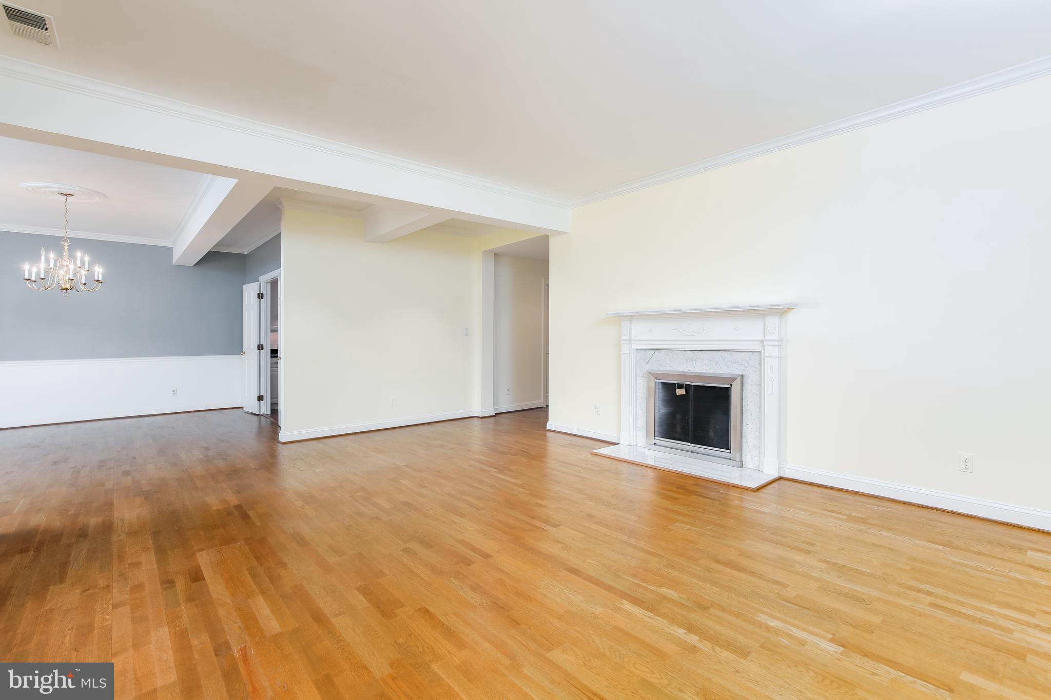 9 Devon Hill Road, Unit B3 Baltimore, MD 21210 - Photo 9 of 44 Wood burning fireplace