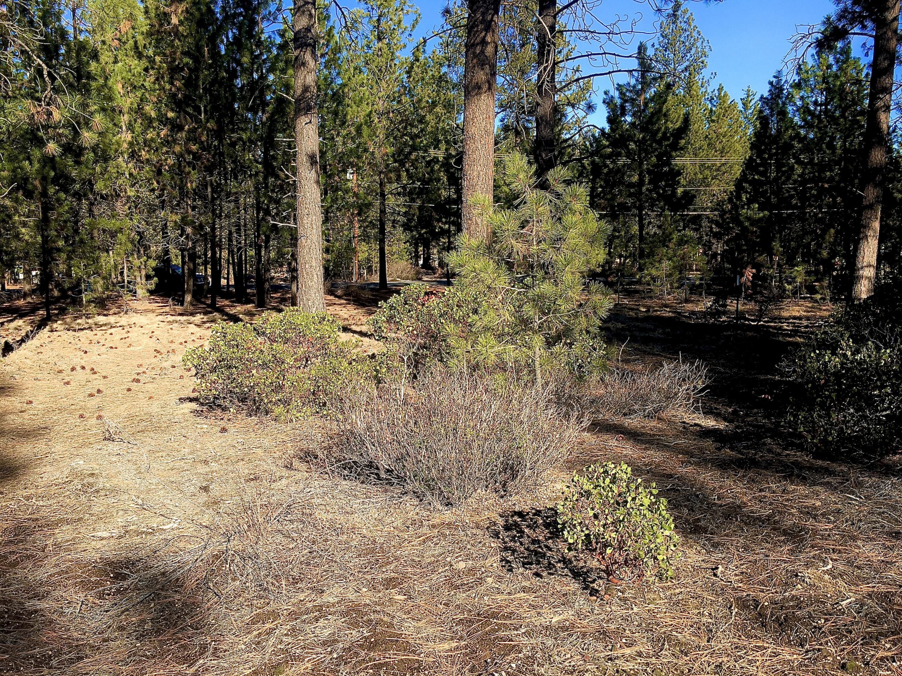 19203 Kiowa Road Bend, OR 97702 - Photo 3 of 4 19203 Kiowa #4
