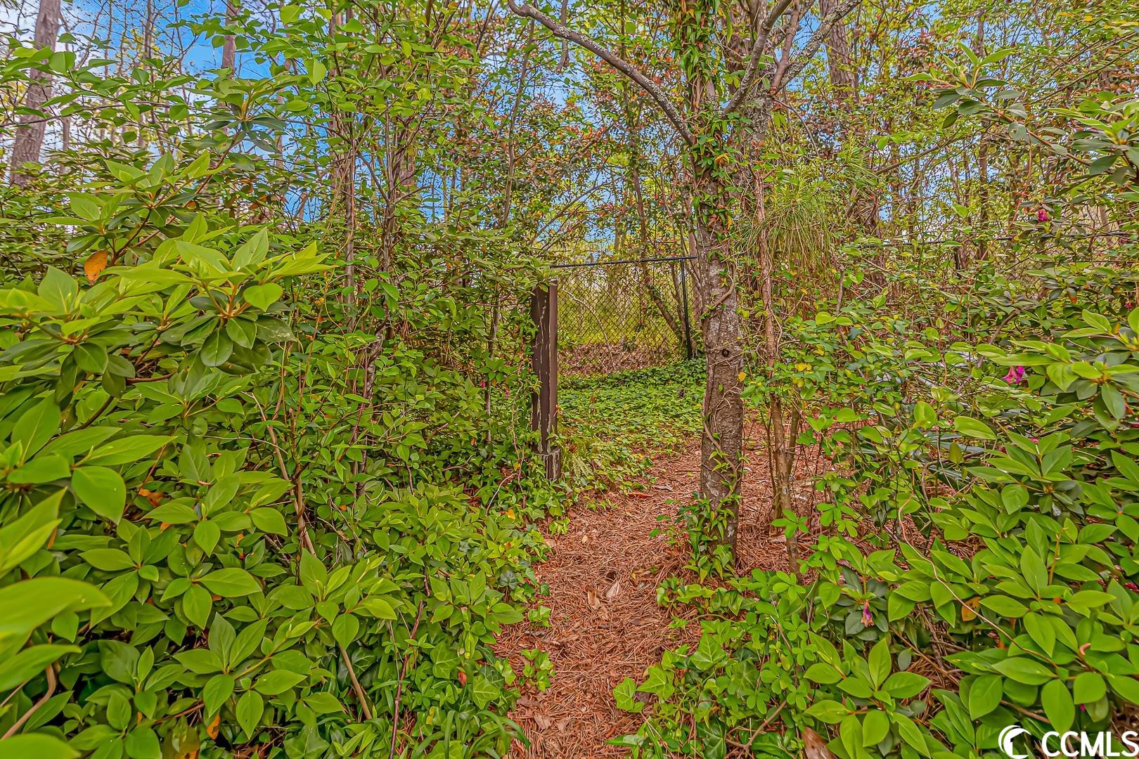 1506 Loop Circle Longs, SC 29568 - Photo 28 of 32