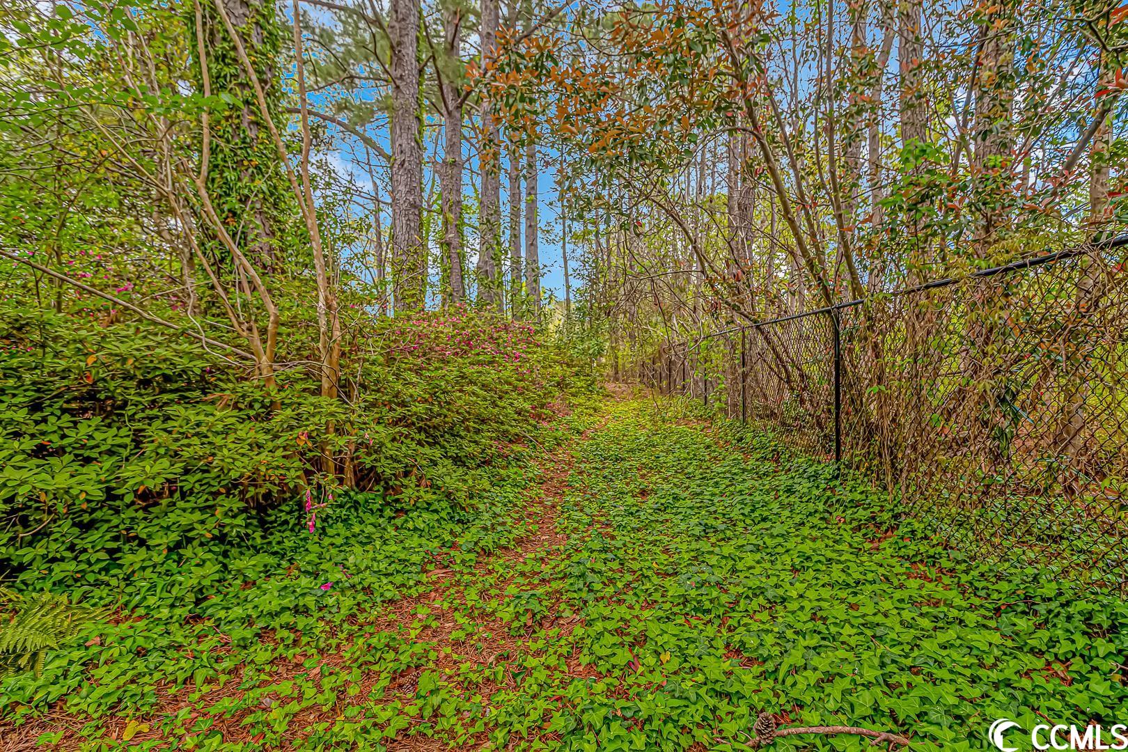 1506 Loop Circle Longs, SC 29568 - Photo 29 of 32