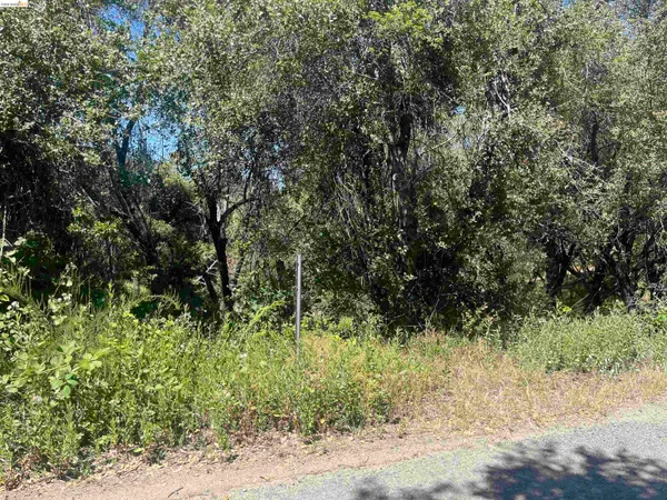 $15,000 | 21186 Ridgeview Drive, Sonora, CA 95370