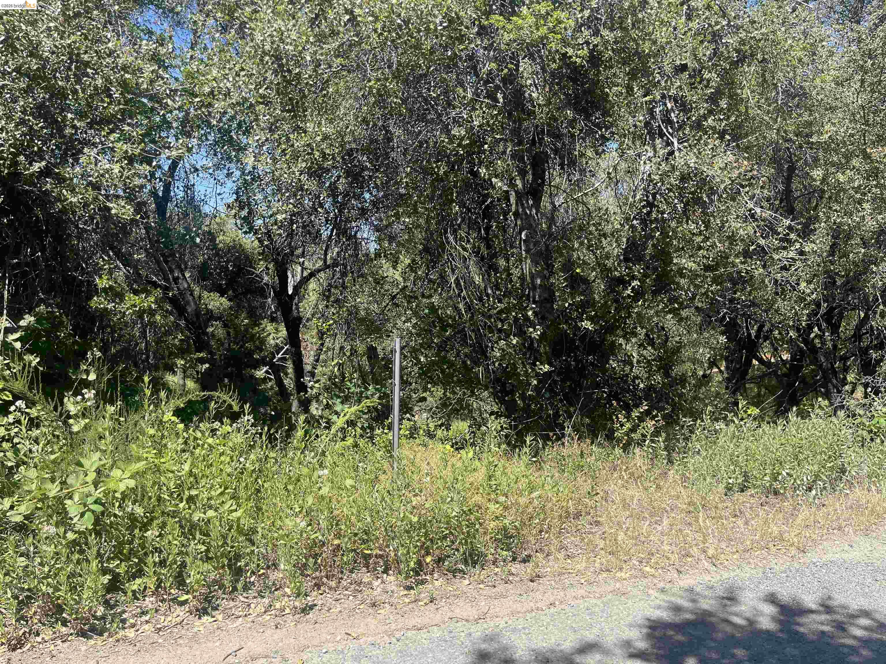 21186 Ridgeview Drive Sonora, CA 95370 - Photo 1 of 1