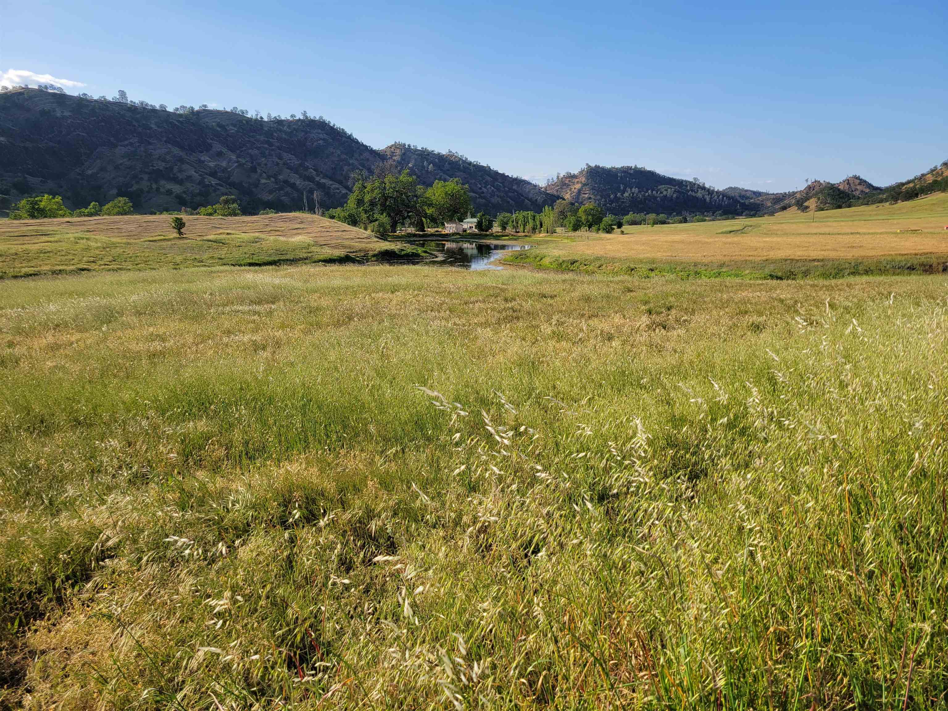 0 High Flat Road Red Bluff, CA 96080 - Photo 11 of 15