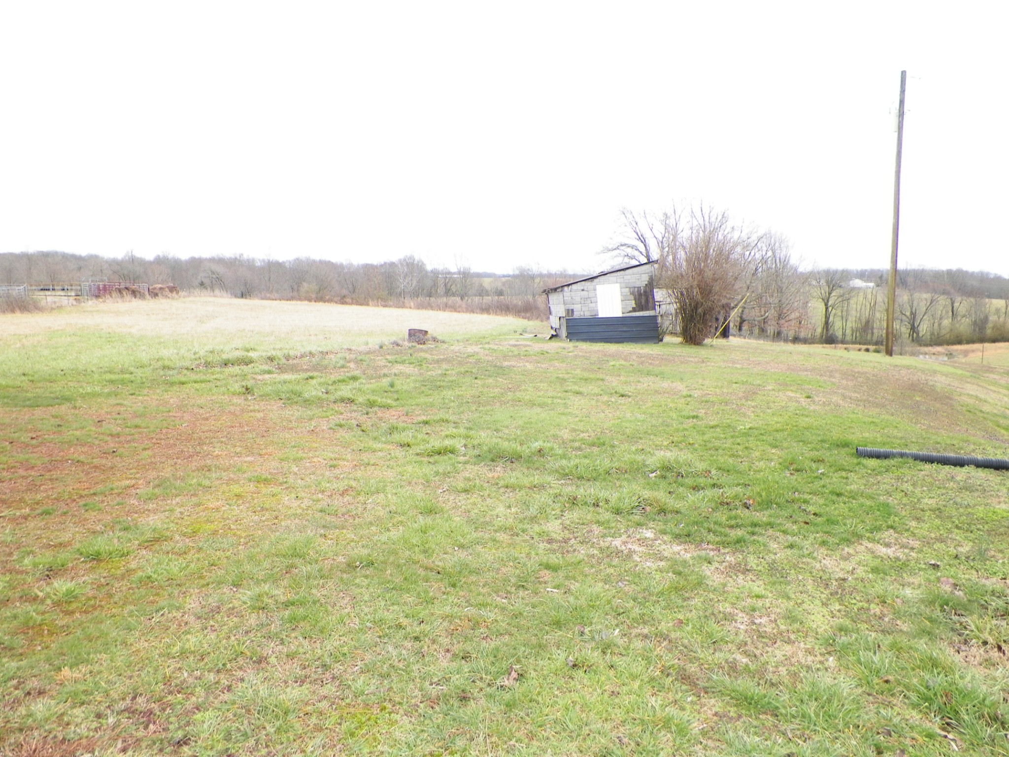 877 Pumpkintown Road Red Boiling Springs, TN 37150 - Photo 3 of 6