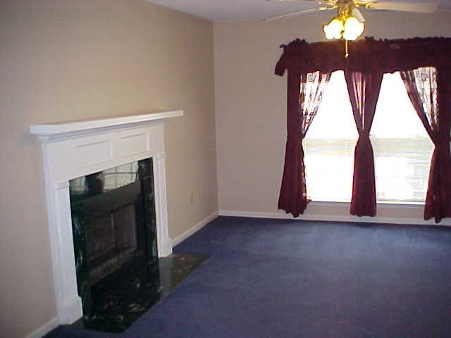 228 Riverside Chase Circle Greer, SC 29650 - Photo 3 of 8