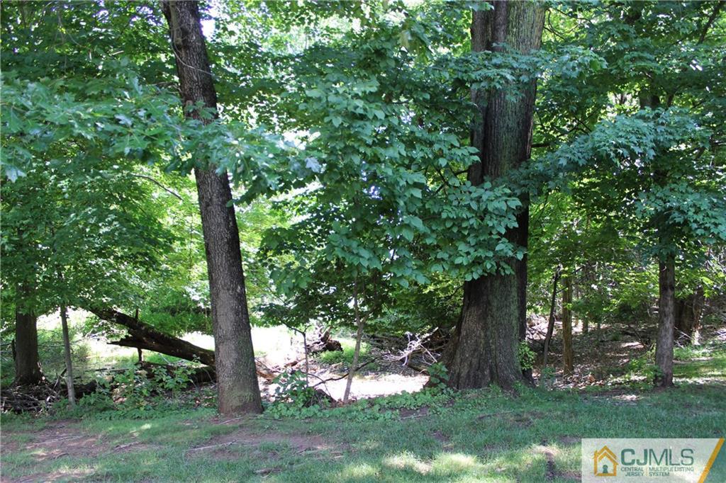1706 Timber Oaks Road, Unit 1706 Edison, NJ 08820 - Photo 25 of 25 a picture of tree