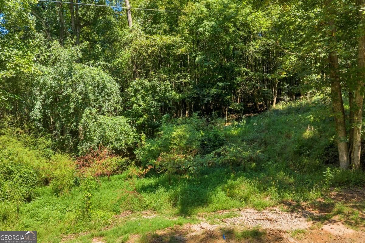 0 Thomas Road Cleveland, GA 30528 - Photo 15 of 25 Gallery Image 15