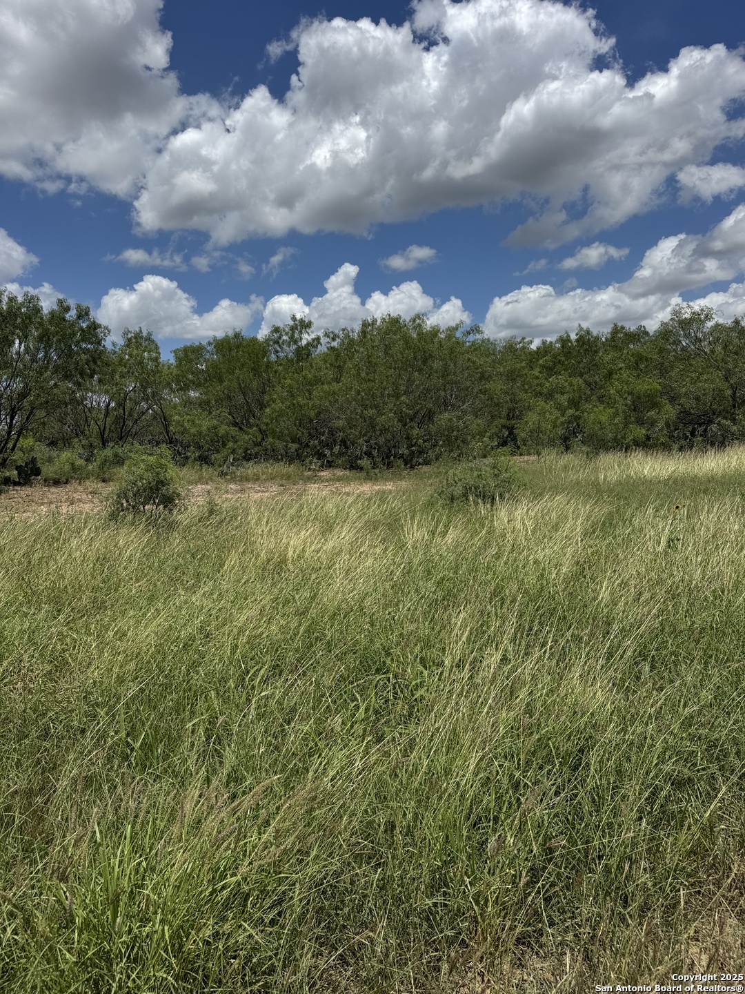 4 Windmill Ranchettes Cr 329 Pleasanton, TX 78064 - Photo 2 of 4 a view of lake with green space