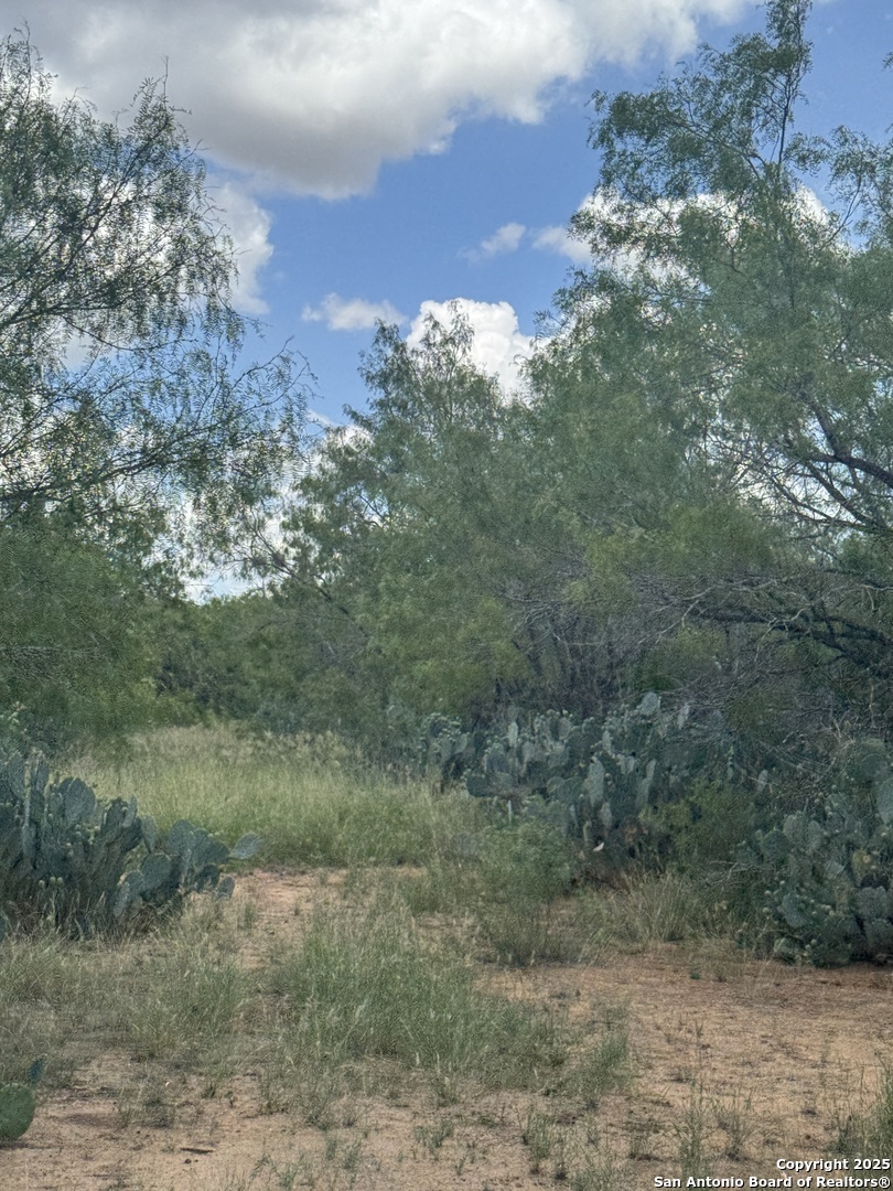 4 Windmill Ranchettes Cr 329 Pleasanton, TX 78064 - Photo 3 of 4 a view of a yard with a tree